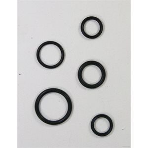 Kit,Seal Ring PV / PVG Repair